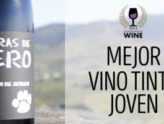 Pizarras de Otero, Mejor Vino Tinto Joven en Champions Wines