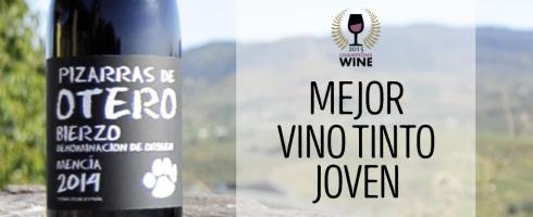 Pizarras de Otero, Mejor Vino Tinto Joven en Champions Wines