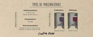 maceraciones-web