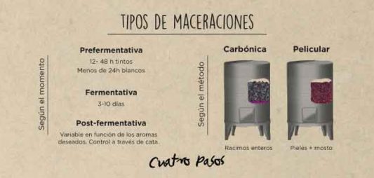 Tipos de maceraciones