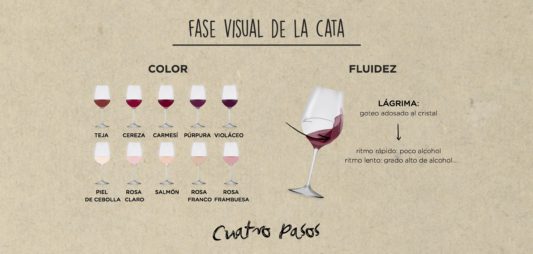 (Español) Fase visual de la cata