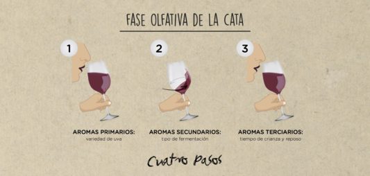 (Español) FASE OLFATIVA DE LA CATA