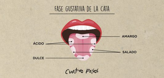 (Español) FASE GUSTATIVA DE LA CATA