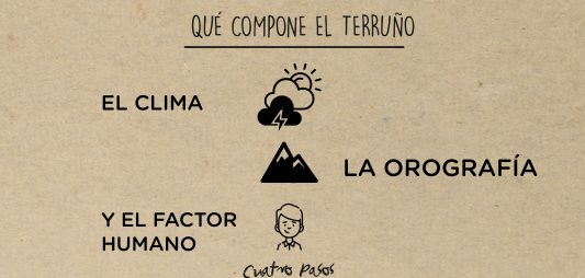 ¿Qué es y cómo influye el terruño en el vino?