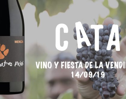 Vive la fiesta de la vendimia entre viñedos, diferenciando cepas y catando uvas