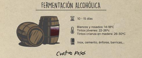 Las fermentaciones del vino