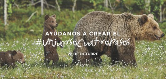 AYÚDANOS A CREAR EL #UNIVERSOCUATROPASOS