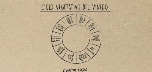 El ciclo vegetativo del vino